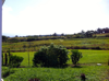 Hiloview